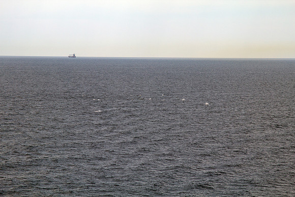 IMG_3020