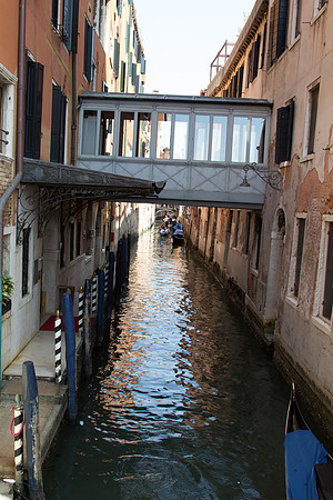 IMG_2607