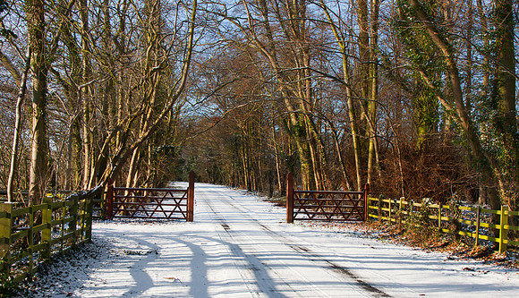 IMG_5561 Grainsby Park gated #2