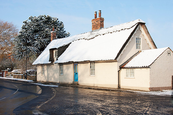 IMG_5576 Thatch1  Feb 10