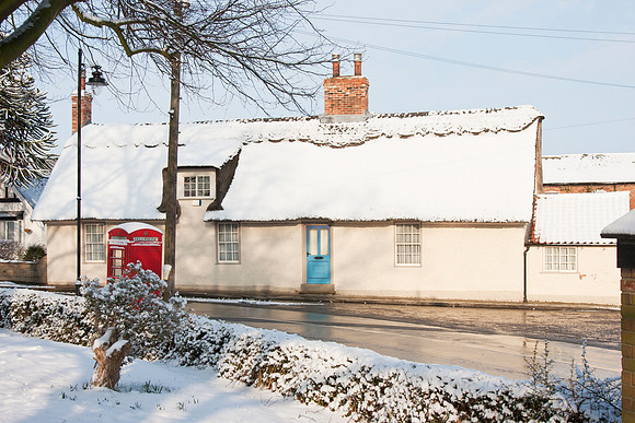 IMG_5577 Thatch2 Feb 10