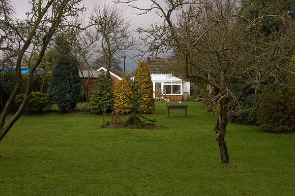 Looking north from south end of garden.