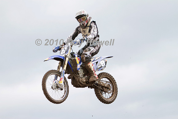 IMG_6536 #8 Lamby