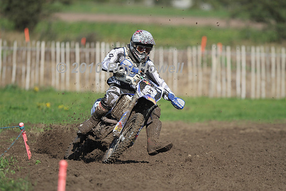 IMG_6332 #8 Lamby
