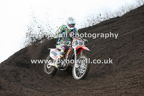 2P6A2670 #860 Jay