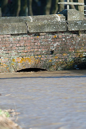 Theddlethorpe - 27/01/13