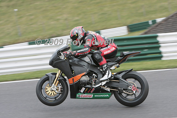 IMG_2982 #8 Kiyo