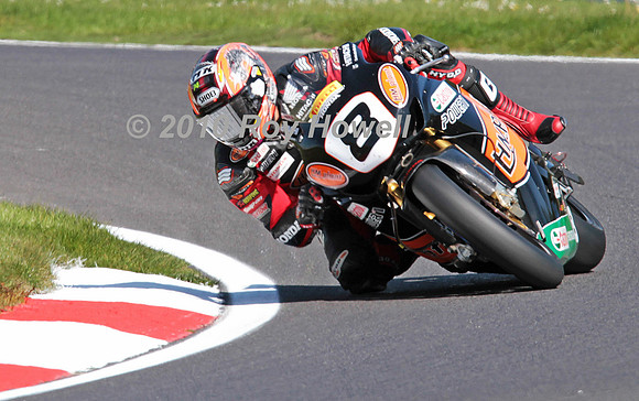 IMG_7055 Kiyo