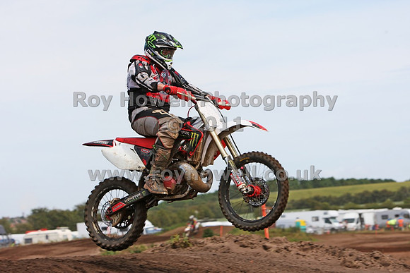 2P6A8392 TG jr