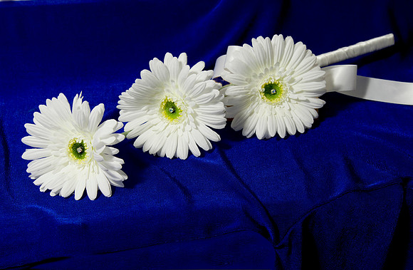2P6A0216 Spray on blue