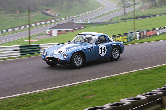 IMG_1328  V Bankhurst #14